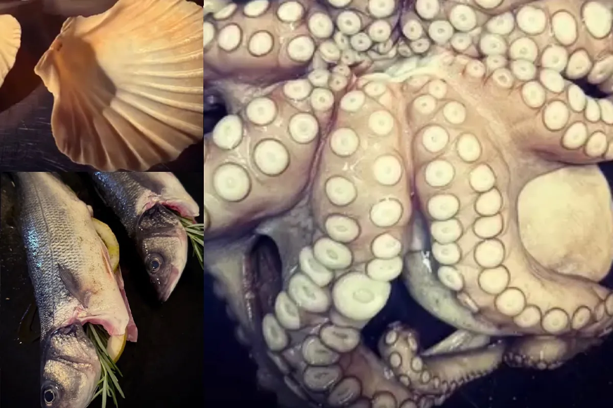The Kitchen - Fische und Me(e)(h)r